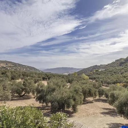 Villa Casa Olivo