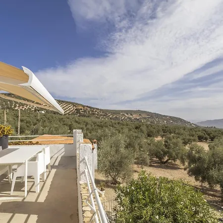 Casa Olivo Villa *
