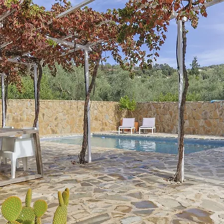 Casa Olivo Villa *