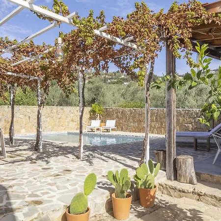 Casa Olivo *